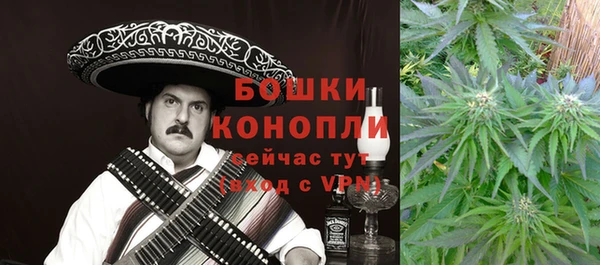 индика Алзамай